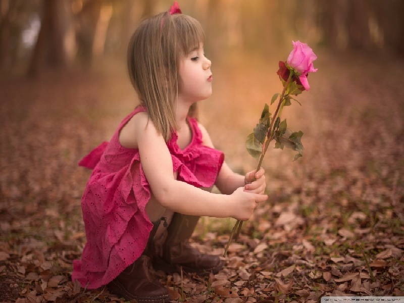 石家庄测试管（x功能障碍试管）——